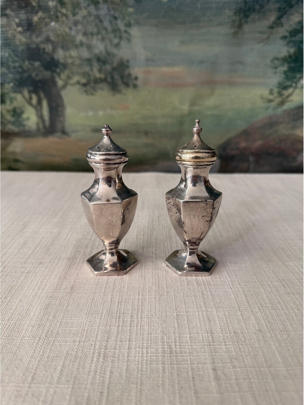 Pair of Silver Tone Salt and Pepper Shakers